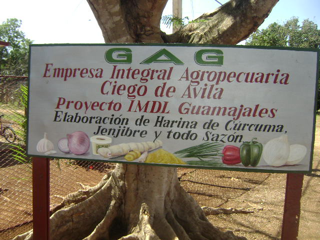 Proyecto agroindustrial 